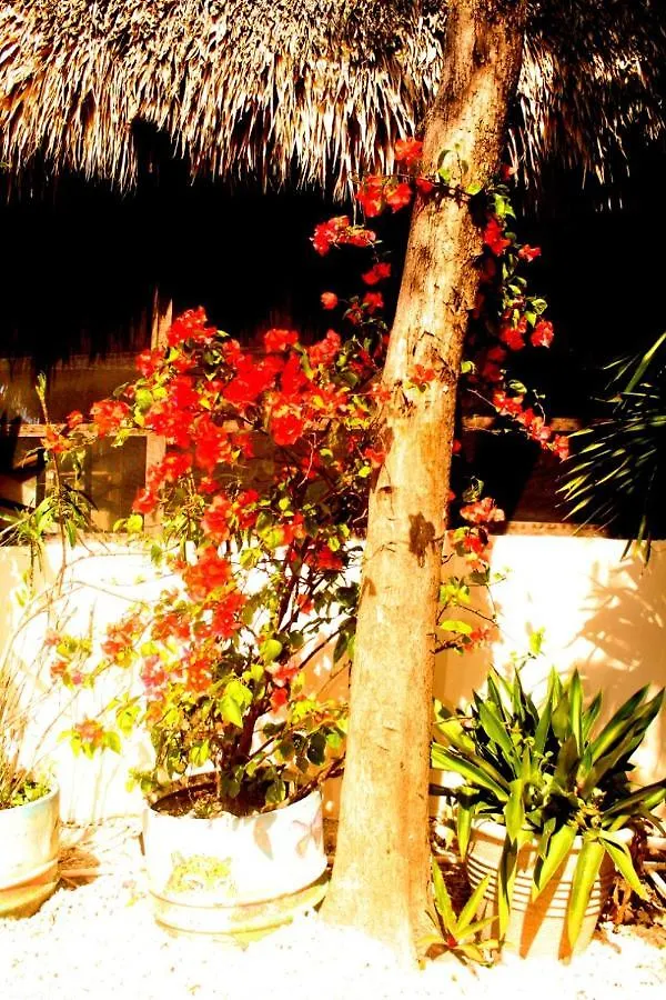 Aldea Okot Hostel Tulum Mexico